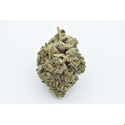 Black Truffle (Hybrid) - SALE 1 OZ $125